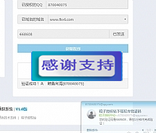 PHP粽子授权系统源码