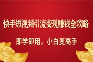 快手短视频引流变现赚钱全攻略：即学即用，小白变高手（价值398元）
