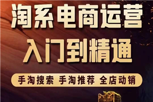 淘系电商入门到精通 手淘搜索，手淘推荐，全店动销 （价值1099元）