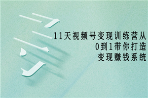 11天视频号变现训练营，从0到1打造变现赚钱系统