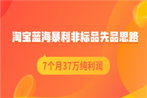 淘宝蓝海暴利非标品先品思路，7个月37万纯利润，压箱干货分享