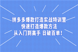 拼多多从入门到高手，爆款实战训练营日破百单
