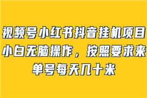 视频号小红书抖音挂机项目，小白无脑操作，按照要求来，单号每天几十米