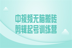 中视频无脑搬砖剪辑起号训练营