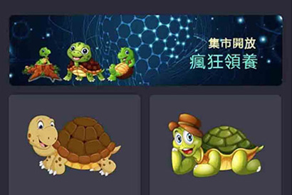 区块鸟 全新独立开发幸运吉祥鸟区块龟区块鸟源码 完美运营接单版本