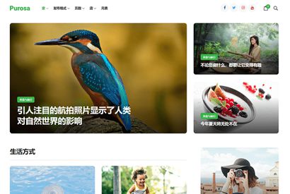 WordPress主题：杂志个人商城博客purosa.1.0.2模板分享