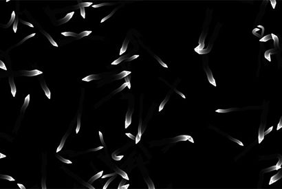 HTML5 Canvas小虫子游动特效